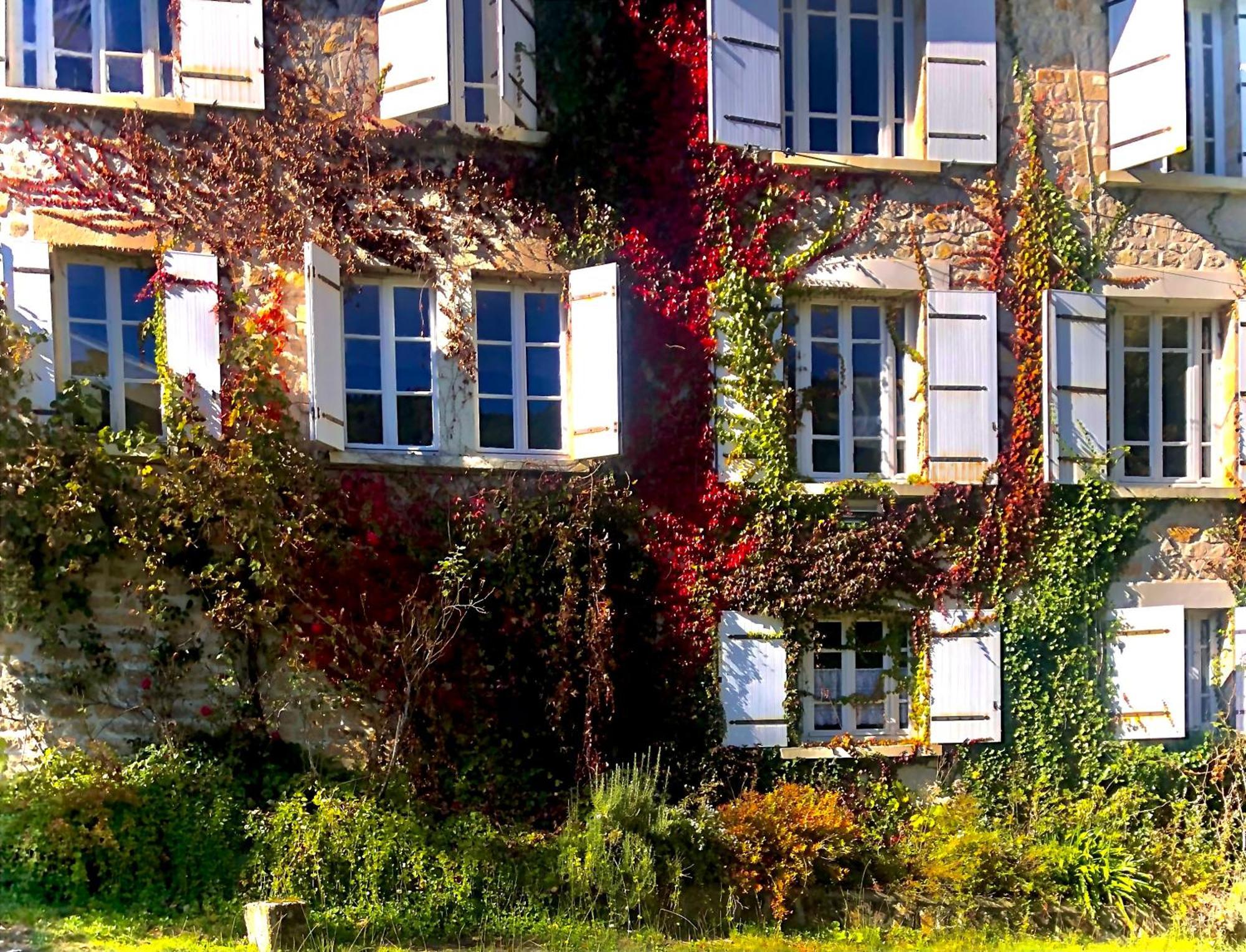 Le Chambon, Chambres D'Hotes Saint-Merd-de-Lapleau Eksteriør bilde